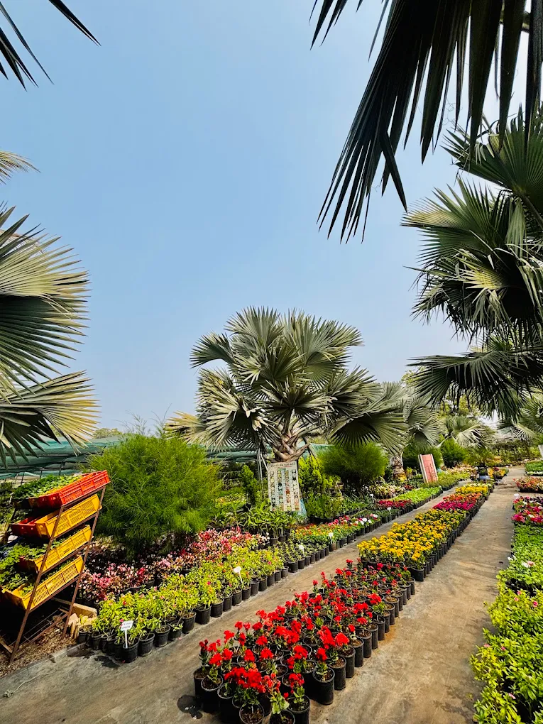 Tirupati Green World nursery campus in Barwaha Khargone